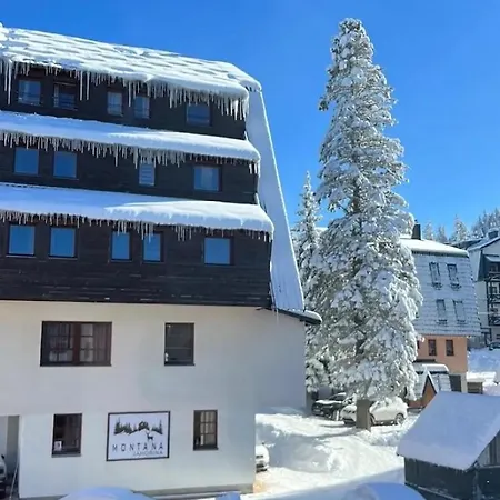 Apartman Montana *