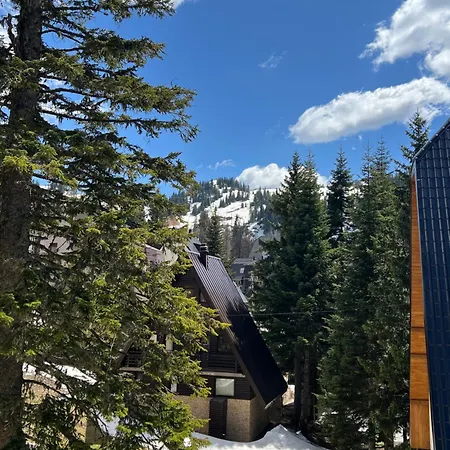 Montana Apartamento