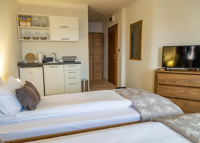 Montana 자호리나