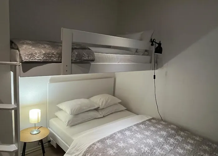 Montana 자호리나