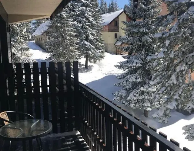 Montana 자호리나